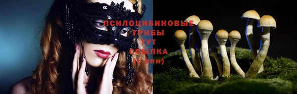сатива Медвежьегорск