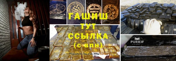 гашик Мегион