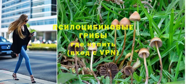дживик Медногорск