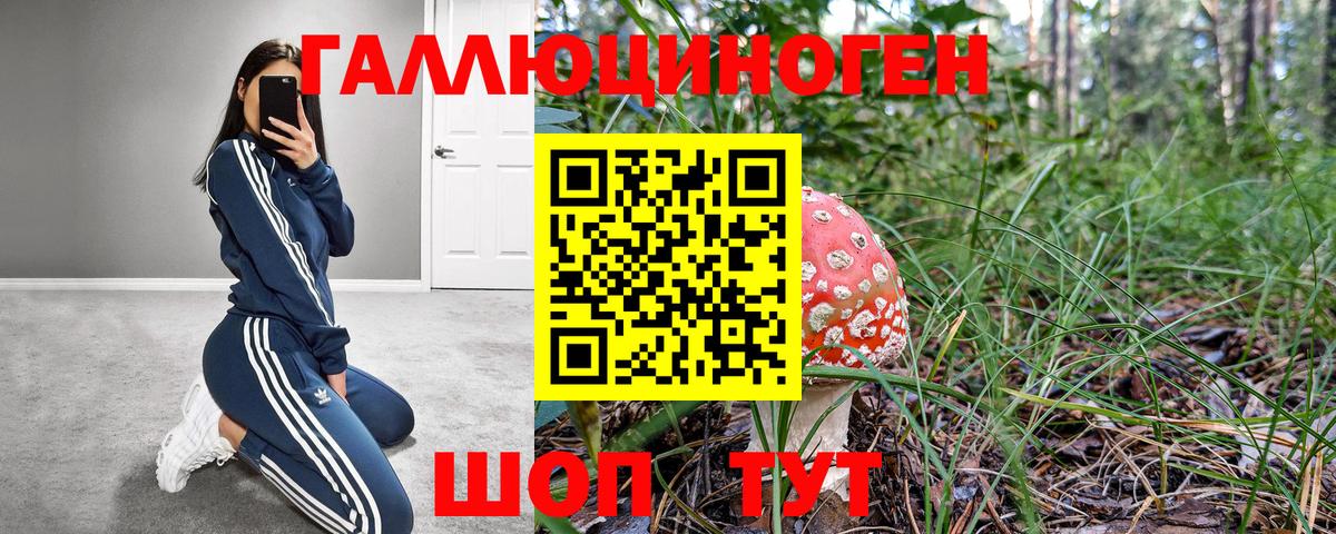 Галлюциногенные грибы прущие грибы Урус-Мартан