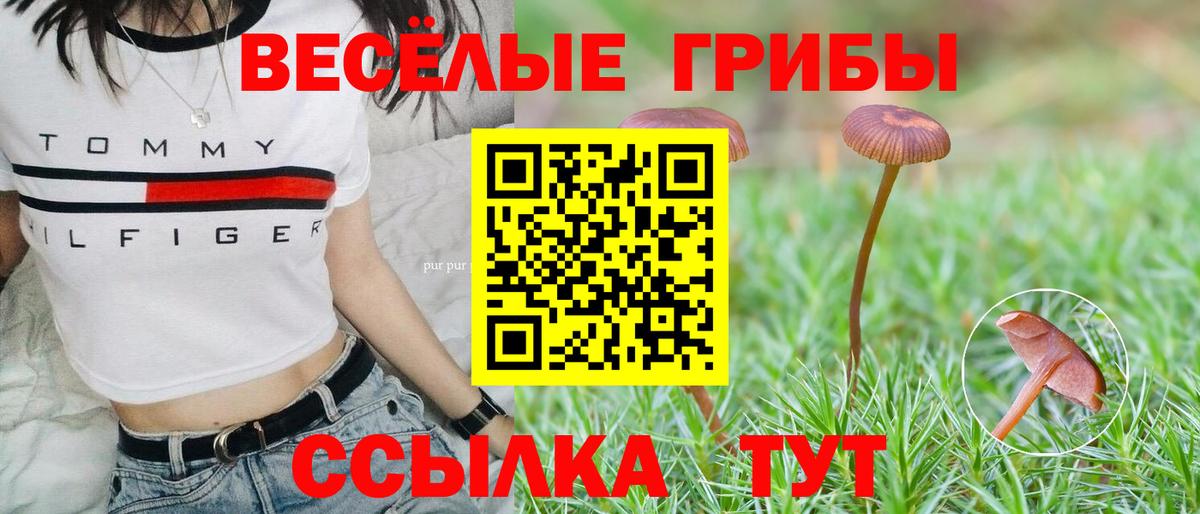 Галлюциногенные грибы Magic Shrooms Урус-Мартан